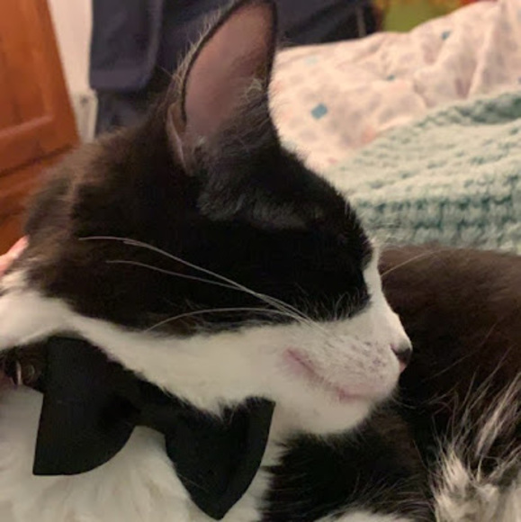 Meet your Posher, Paige - Picture 1 of 1